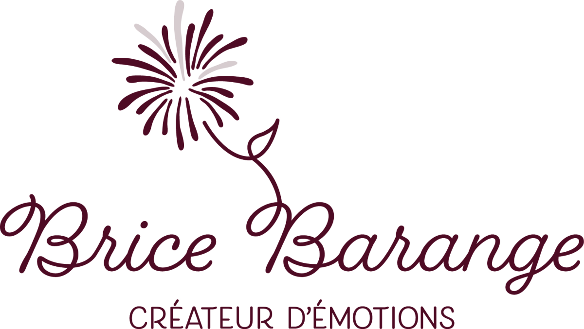 Brice Barange artificier