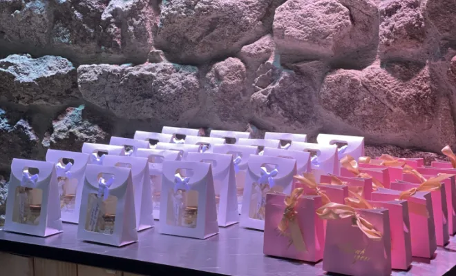 Mariage du 11/04/2026  au Domaine du Parc, Saint-Genest-Malifaux, Domaine de la Diligence